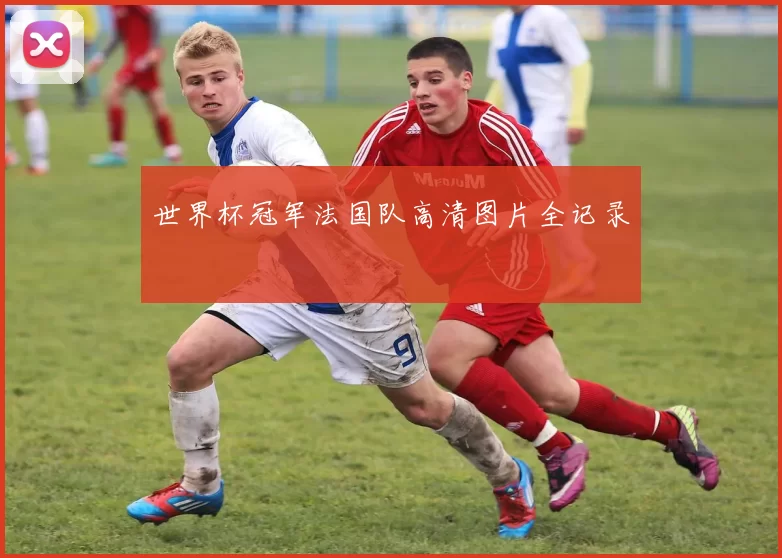 世界杯冠军法国队高清图片全记录