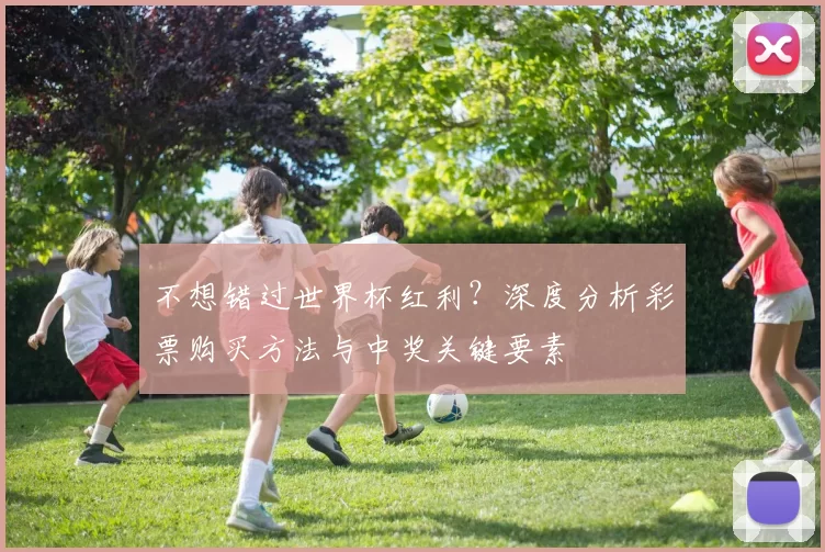 不想错过世界杯红利？深度分析彩票购买方法与中奖关键要素