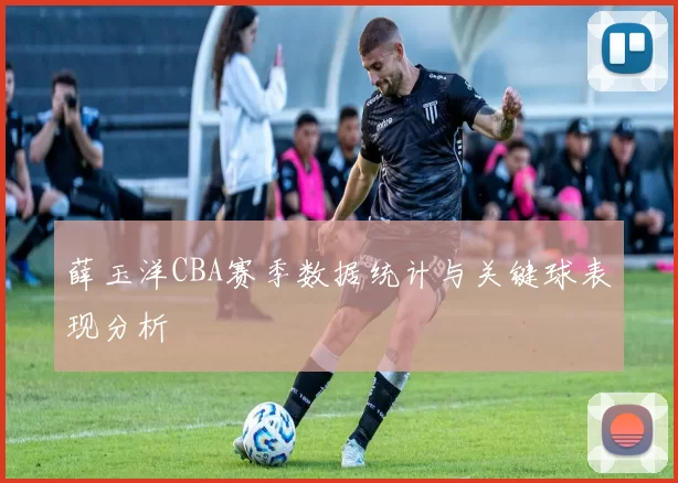 薛玉洋CBA赛季数据统计与关键球表现分析