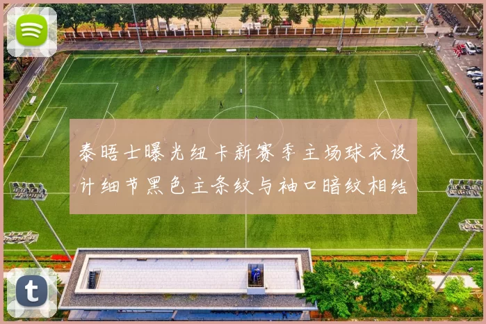 泰晤士曝光纽卡新赛季主场球衣设计细节黑色主条纹与袖口暗纹相结合