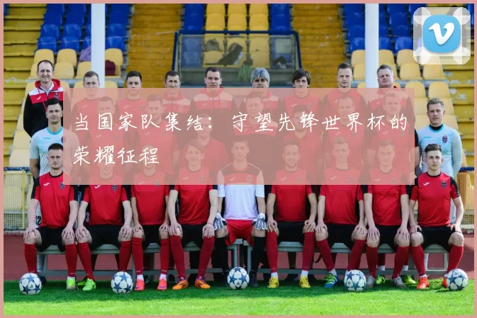当国家队集结：守望先锋世界杯的荣耀征程