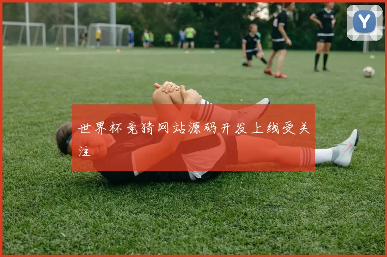 世界杯竞猜网站源码开发上线受关注