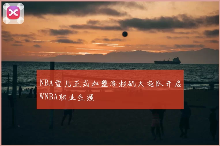 NBA雪儿正式加盟洛杉矶火花队开启WNBA职业生涯