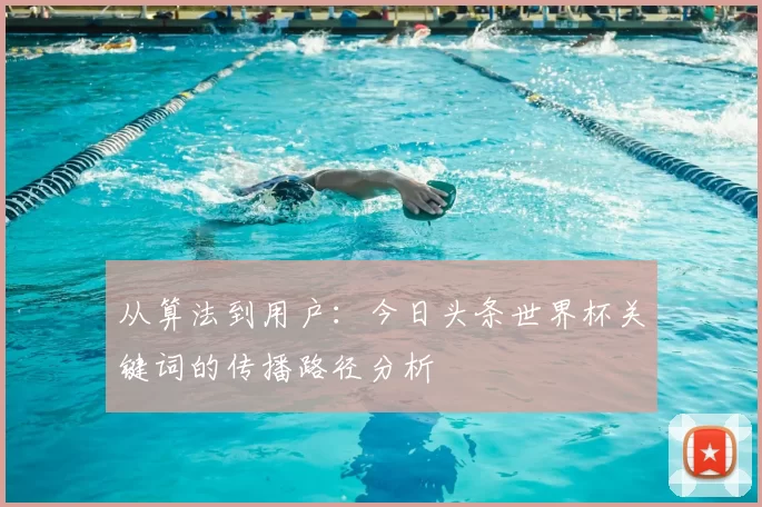 从算法到用户:今日头条世界杯关键词的传播路径分析