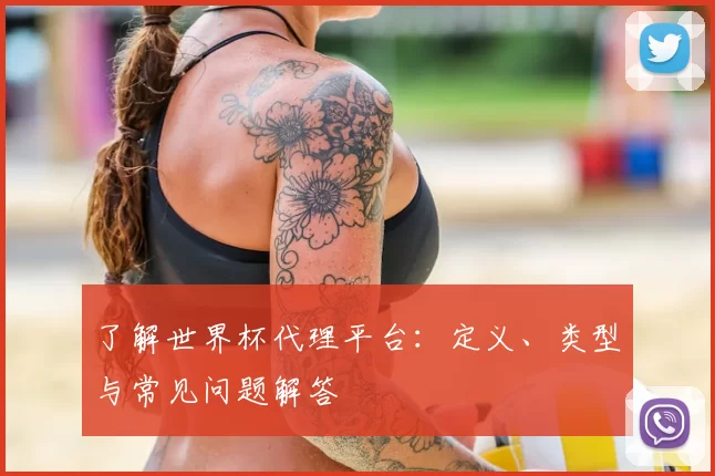了解世界杯代理平台：定义、类型与常见问题解答