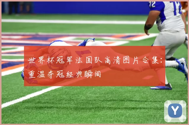 世界杯冠军法国队高清图片合集:重温夺冠经典瞬间