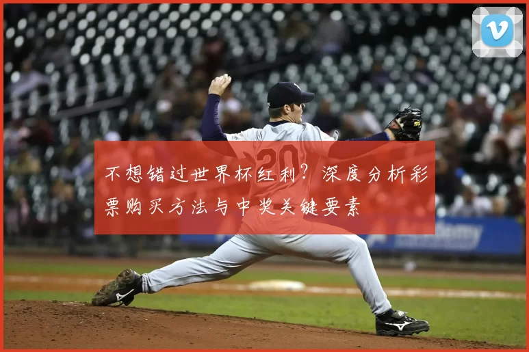 不想错过世界杯红利?深度分析彩票购买方法与中奖关键要素