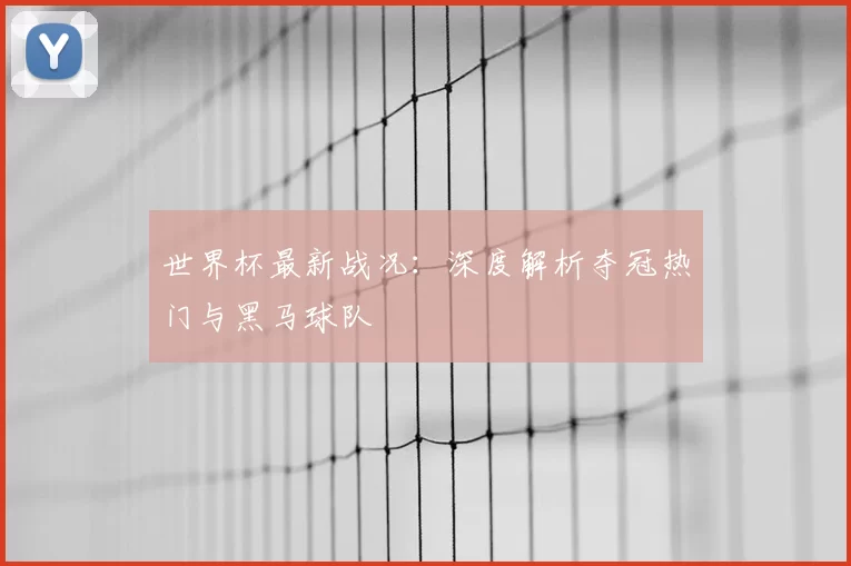 世界杯最新战况：深度解析夺冠热门与黑马球队