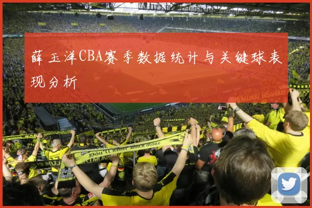 薛玉洋CBA赛季数据统计与关键球表现分析