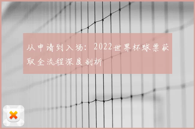 从申请到入场:2022世界杯球票获取全流程深度剖析