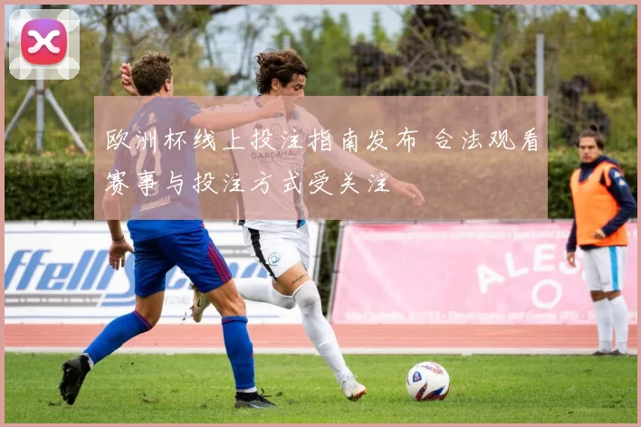 欧洲杯线上投注指南发布 合法观看赛事与投注方式受关注